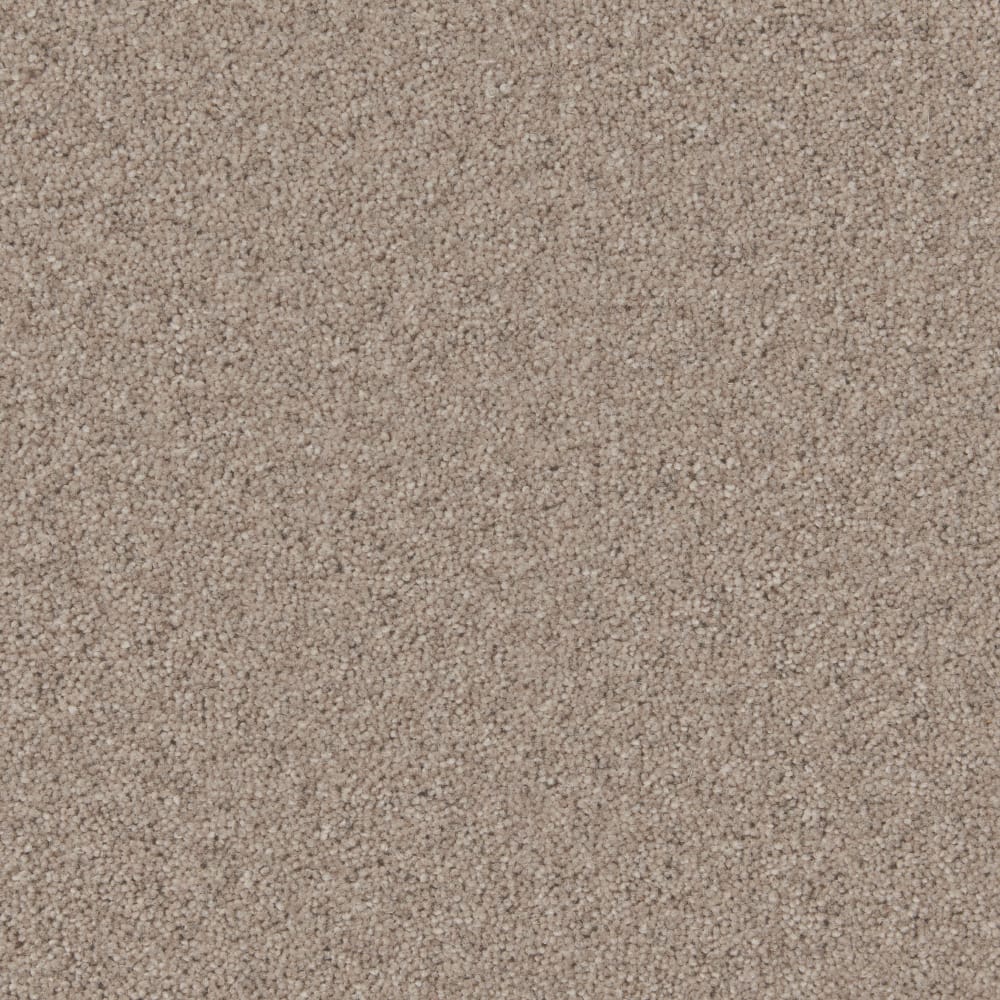 Rock swatch