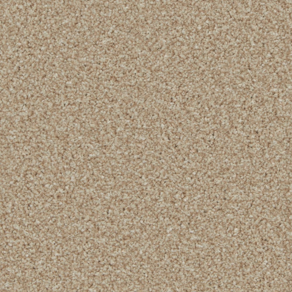 Kingston Caracal swatch