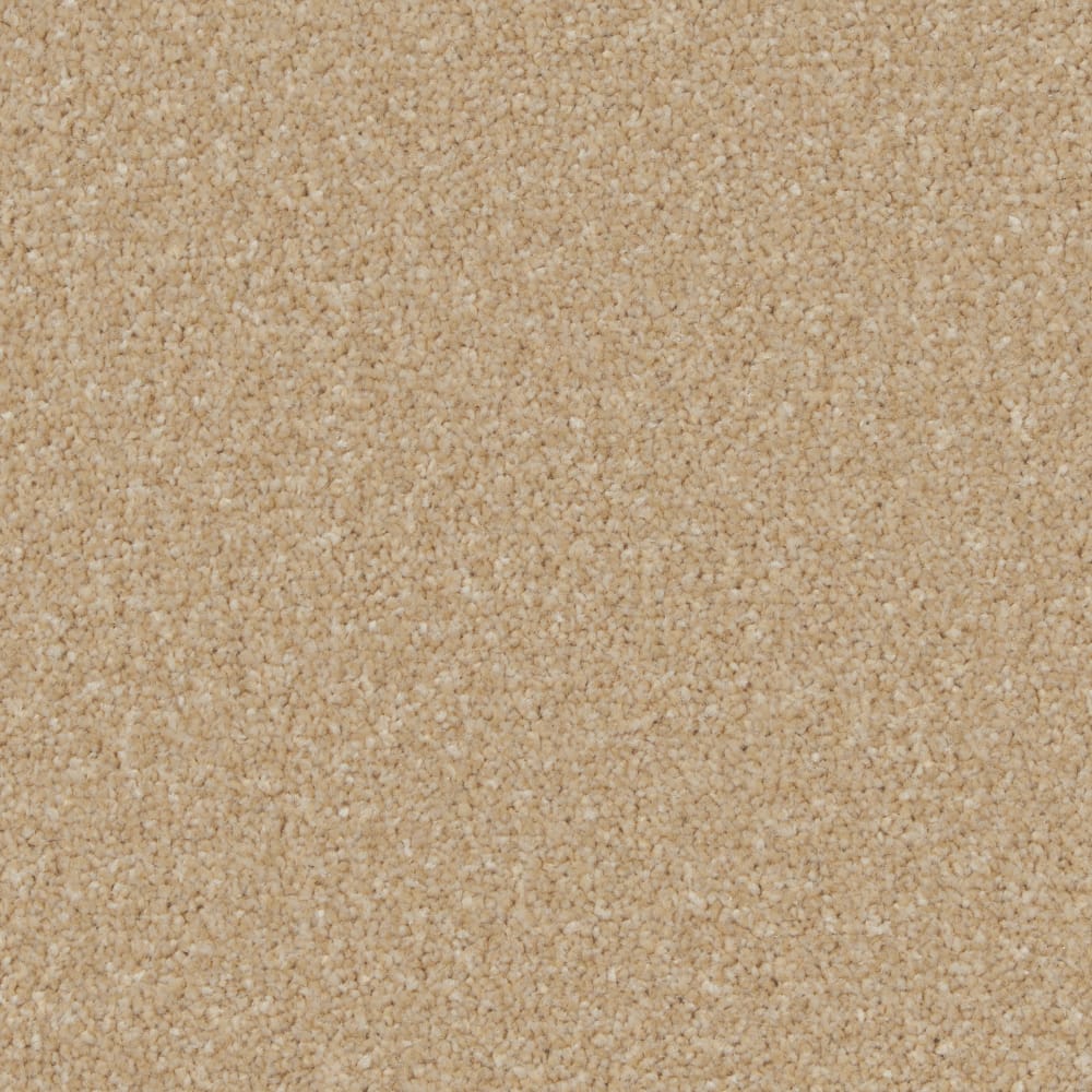 Kingston Hayseed swatch