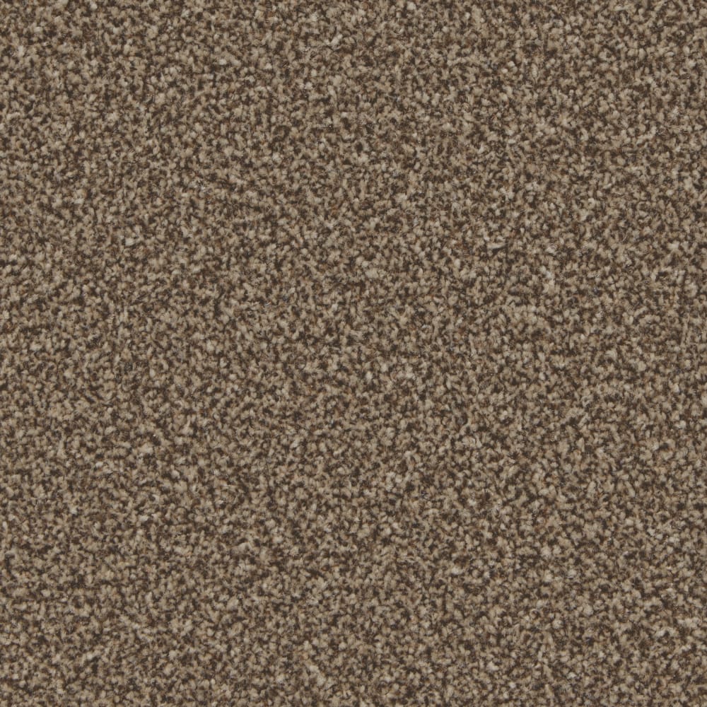 Kingston Mocha swatch