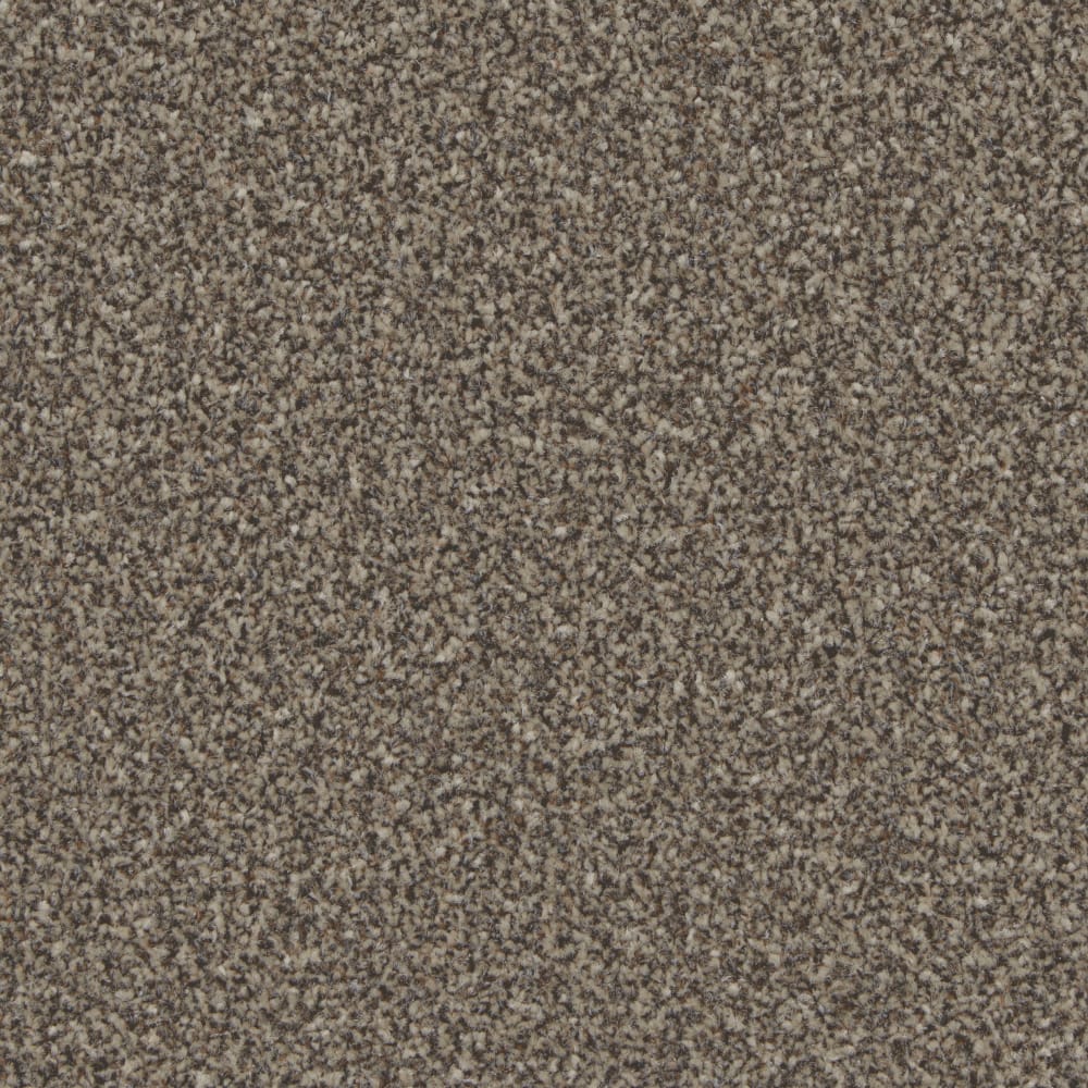 Kingston Molasses swatch