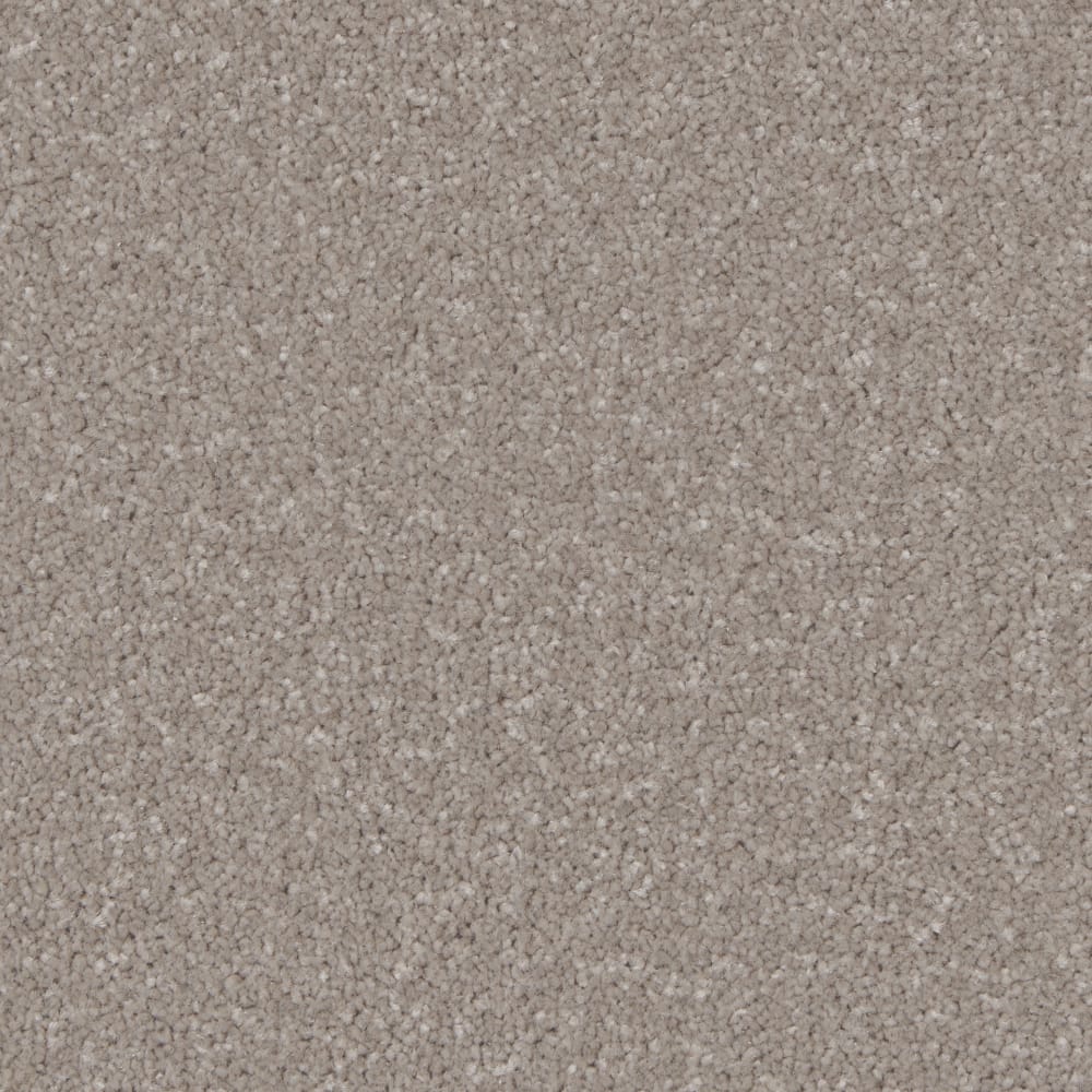 Kingston Mushroom swatch