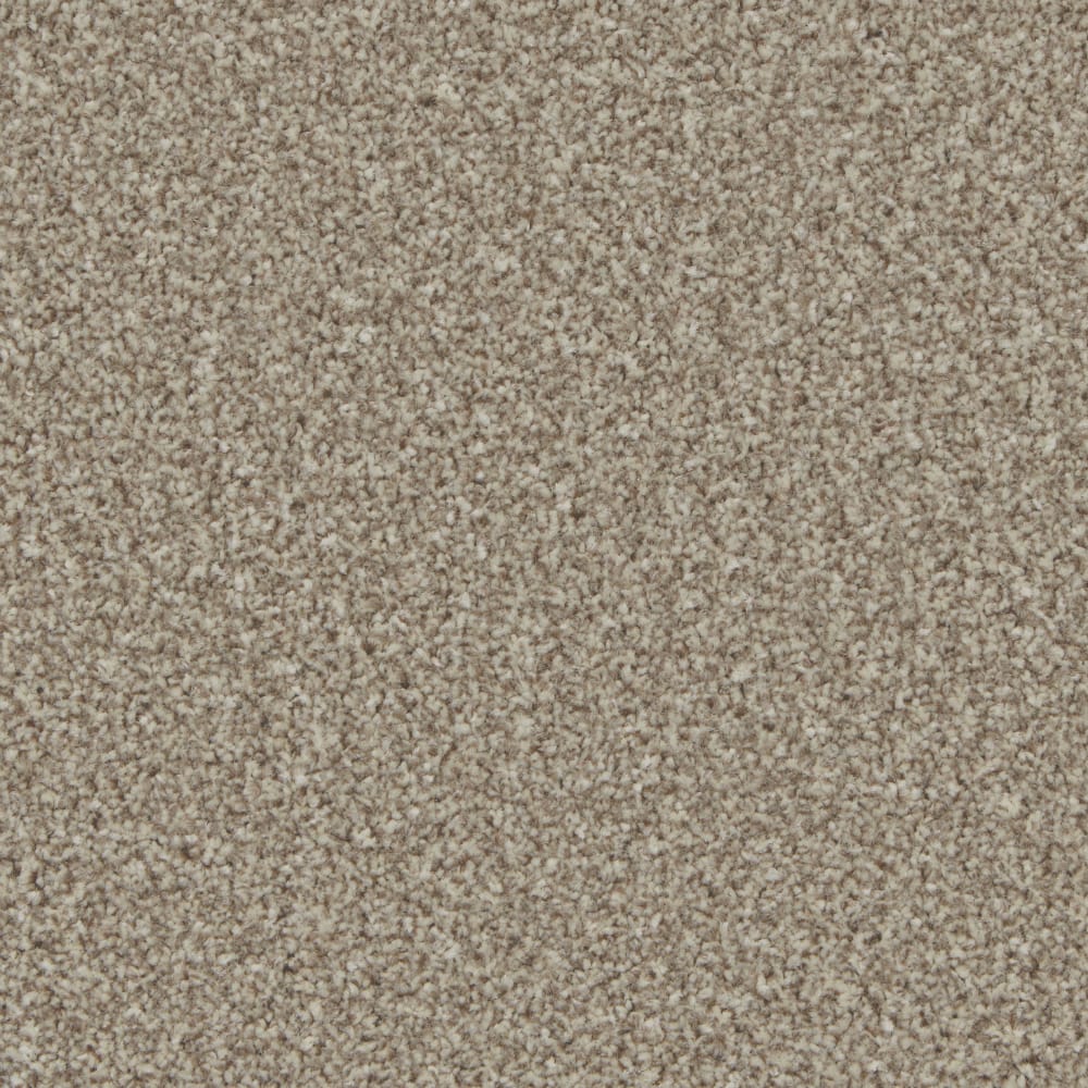Oak swatch
