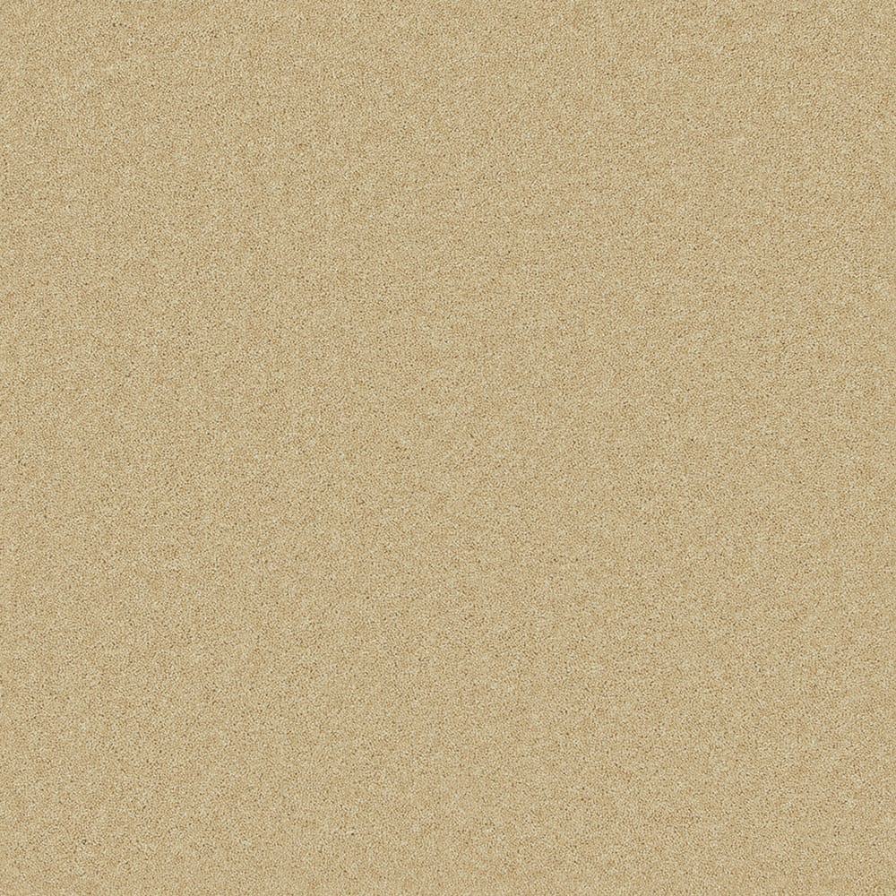 Pembroke Camel swatch