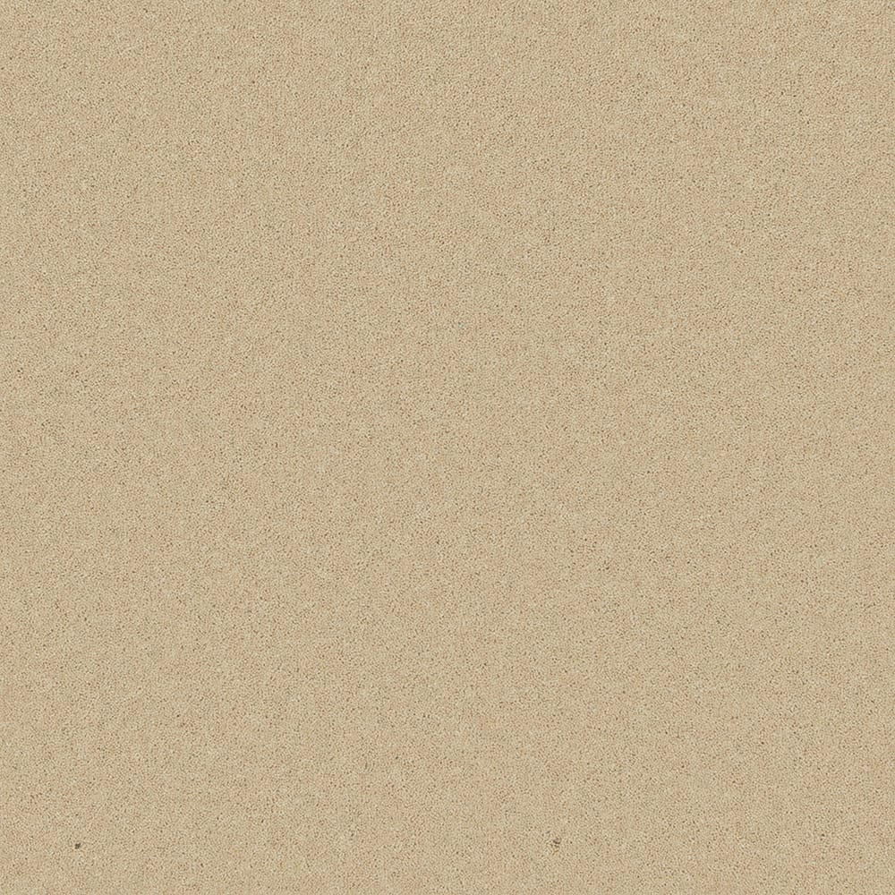 Pembroke Caraway swatch