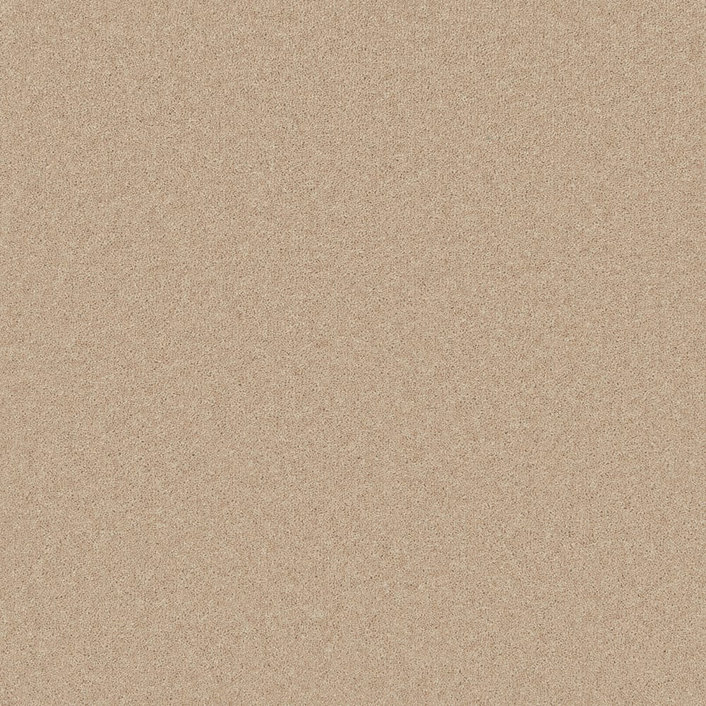 Pembroke Cashmere swatch