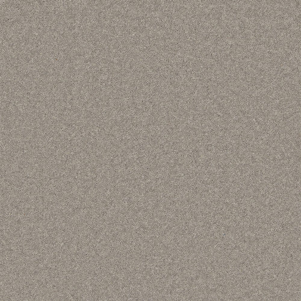 Pembroke Chrome swatch