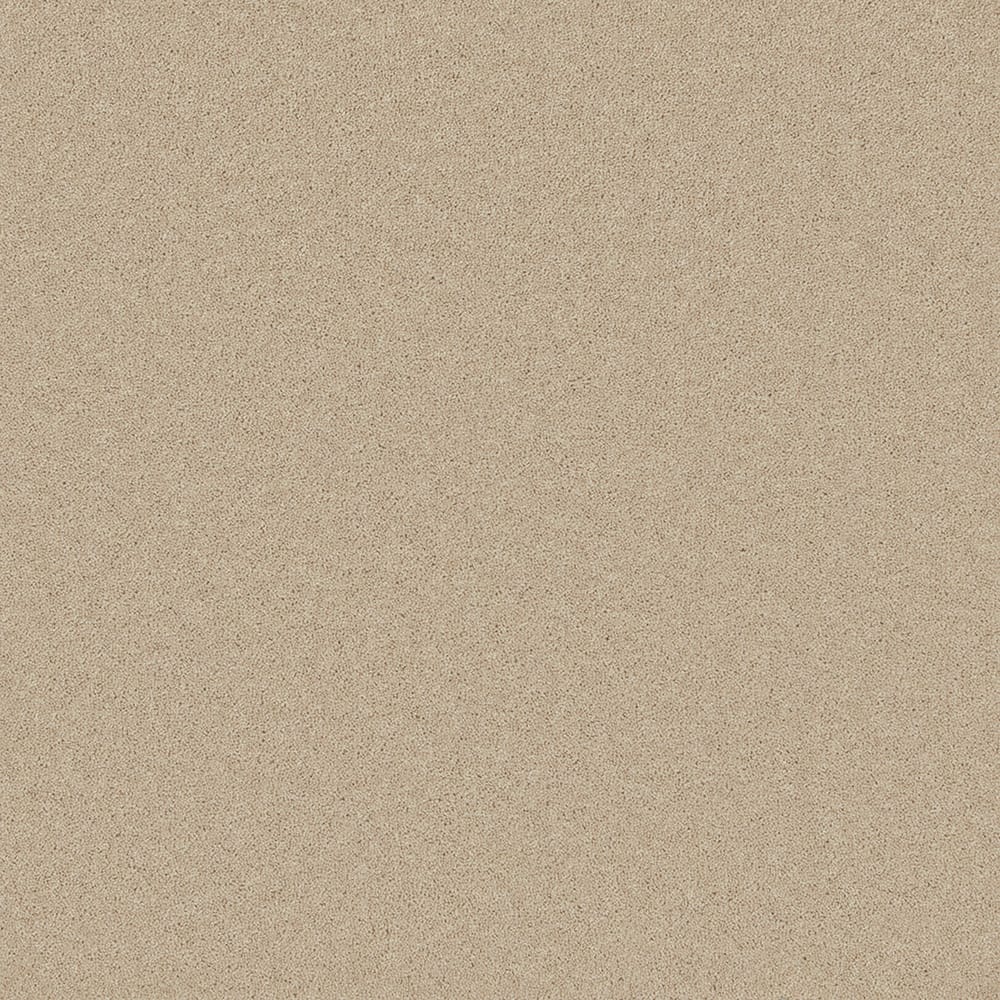 Pembroke Savannah swatch