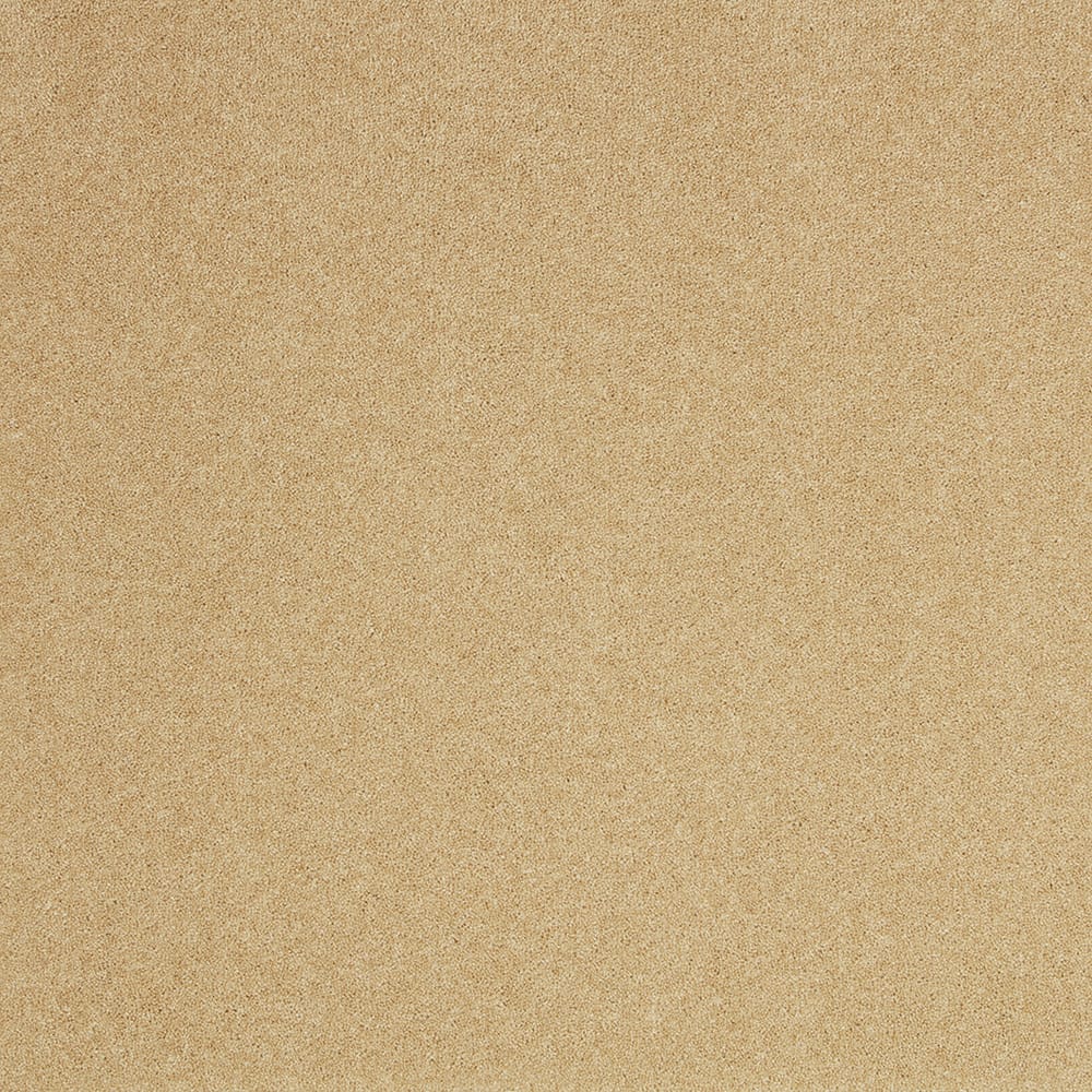 Ash swatch