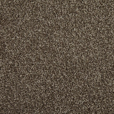 Brazil Nut swatch