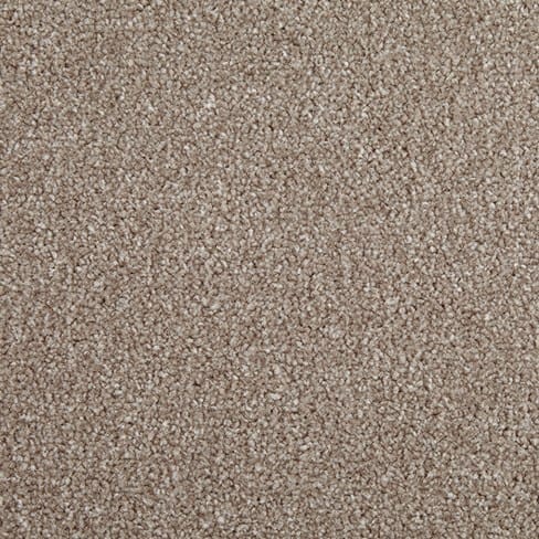 Cookie swatch