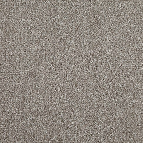 Elm swatch