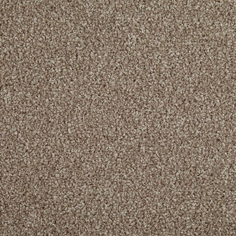 Filbert swatch