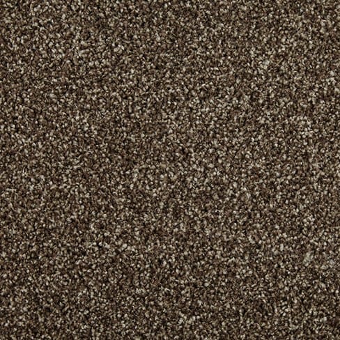 Truffle swatch