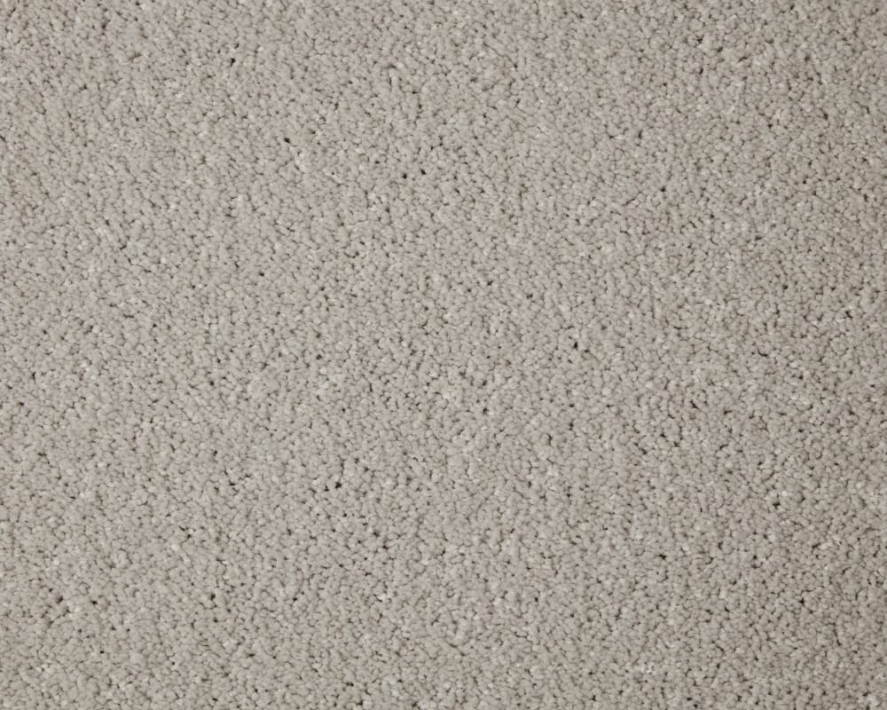 Alloy Grey swatch