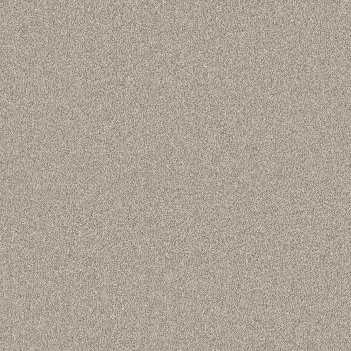 Bankside Beige swatch