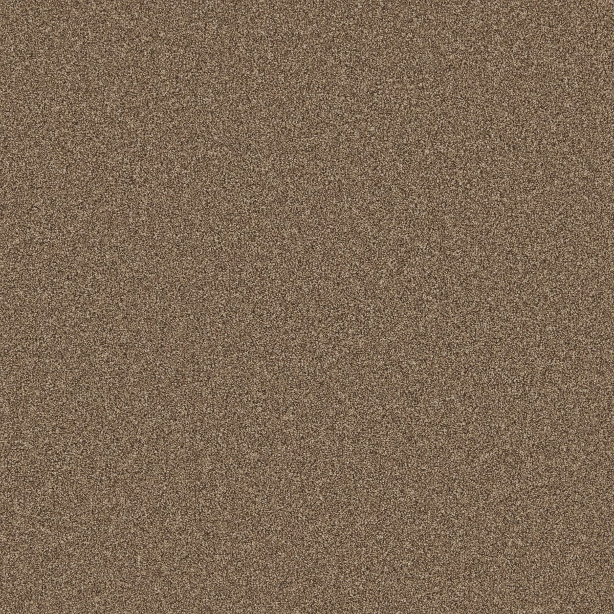 Chestnut swatch