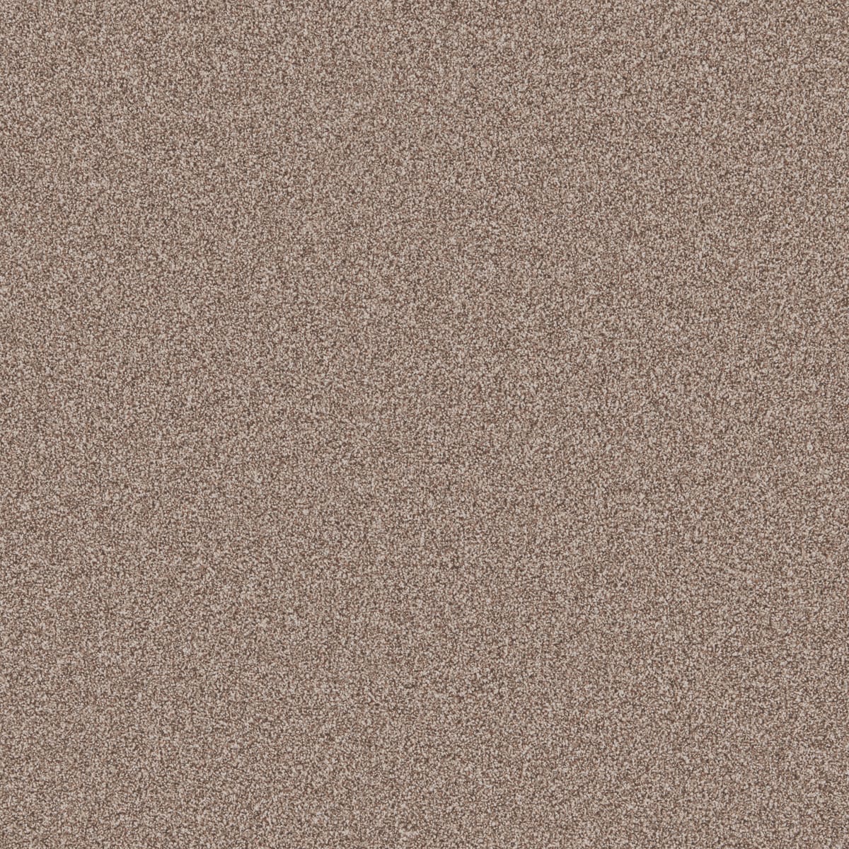 Cortado swatch