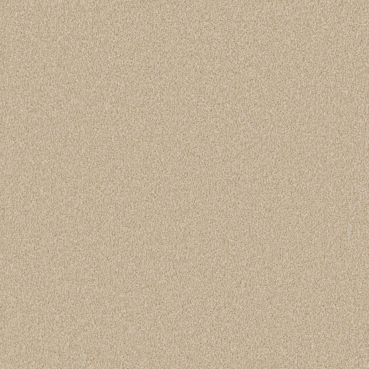 Miami Beach swatch