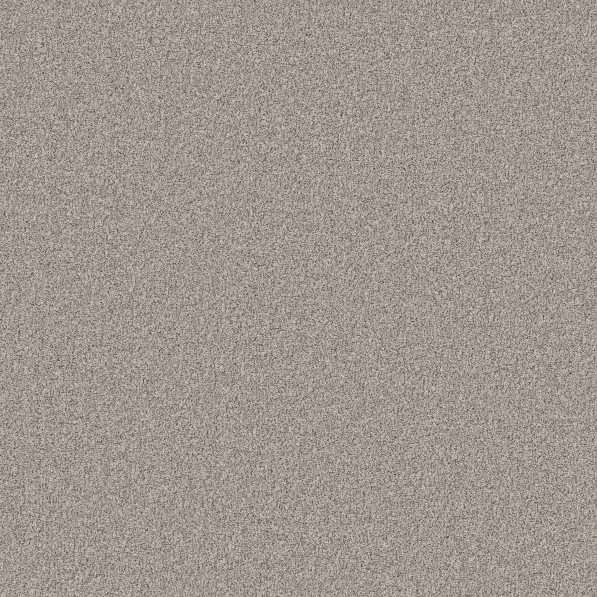 Nimrod swatch