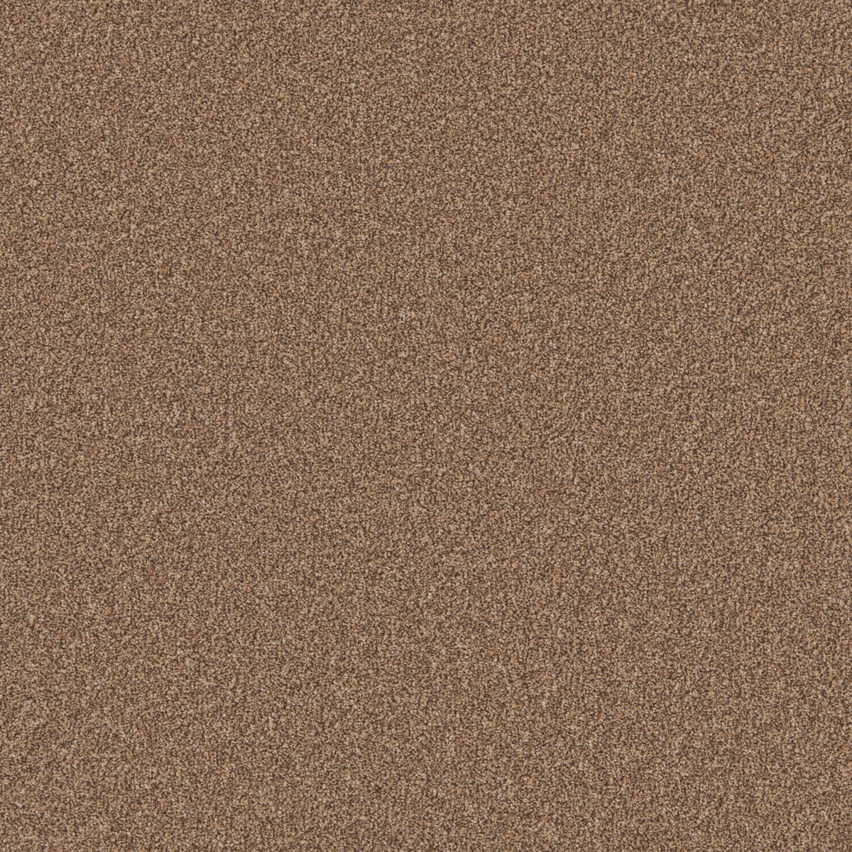 Pecan swatch