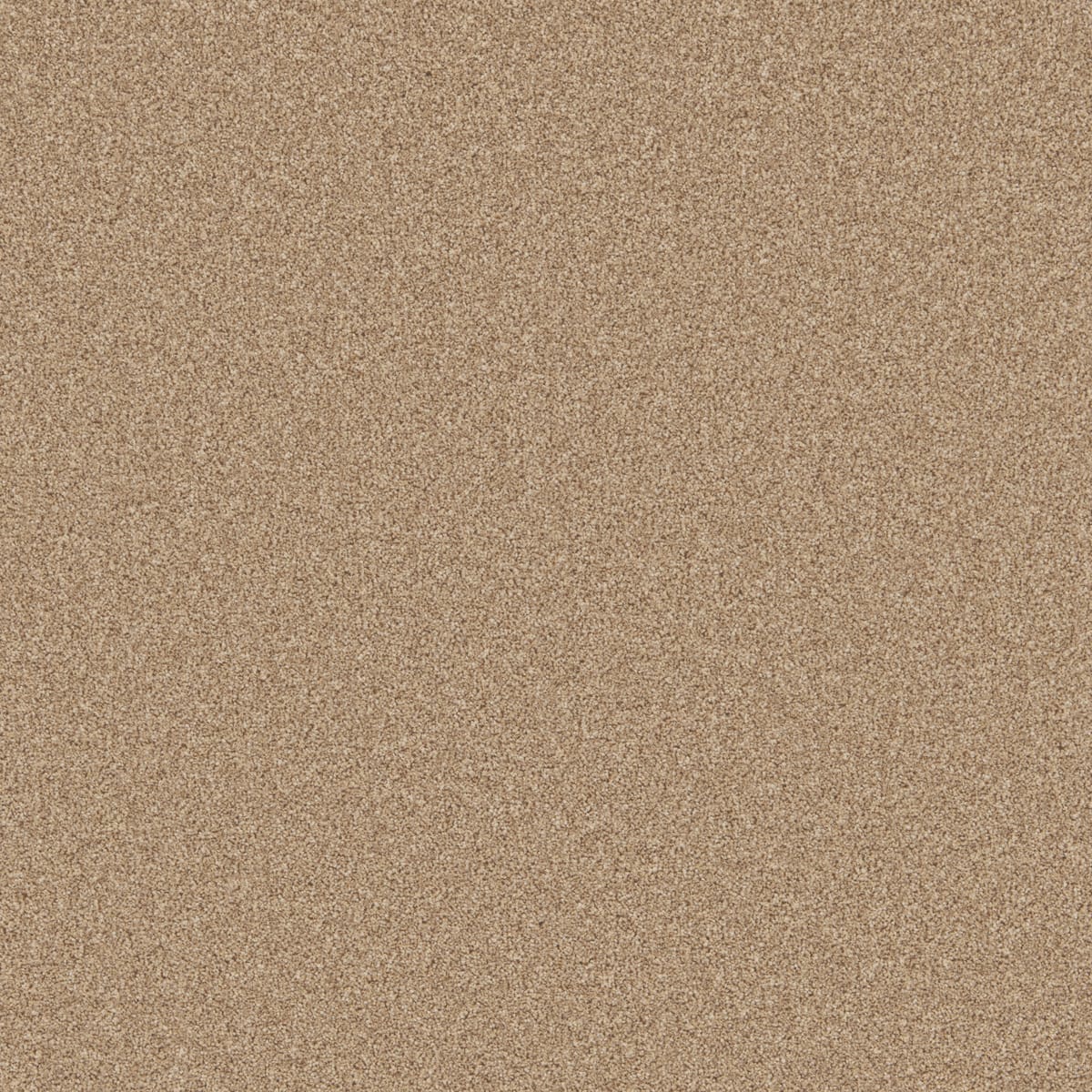 Sandstone swatch