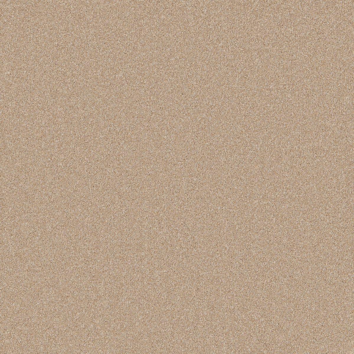 Tan swatch
