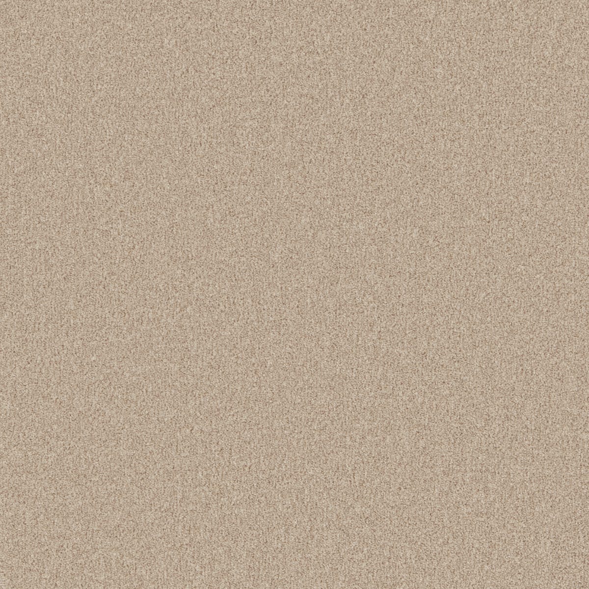 Wild Honey swatch