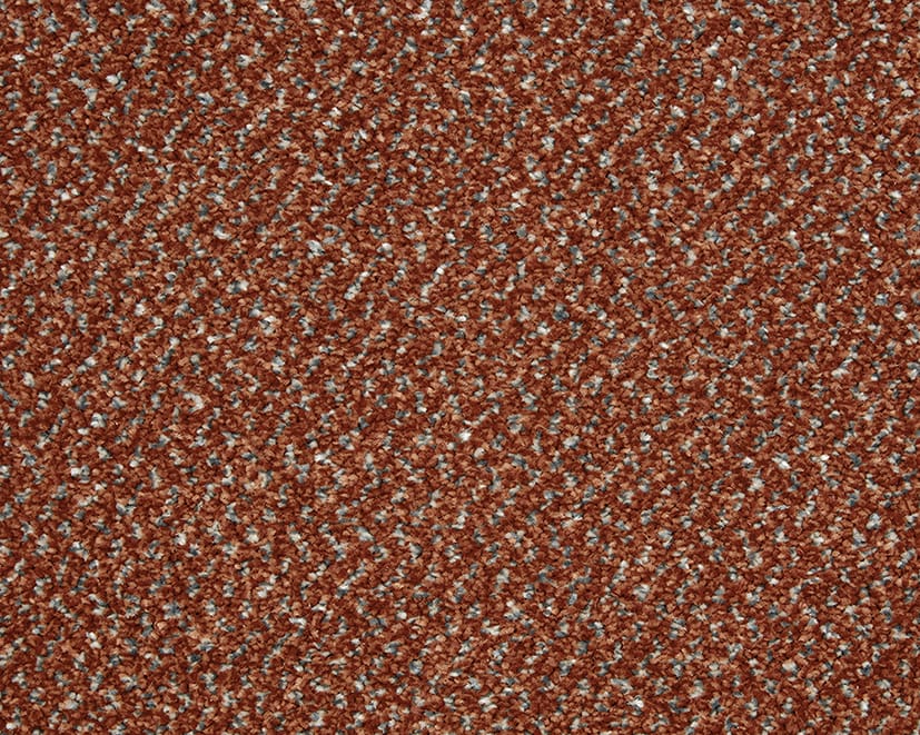 Beechnut swatch