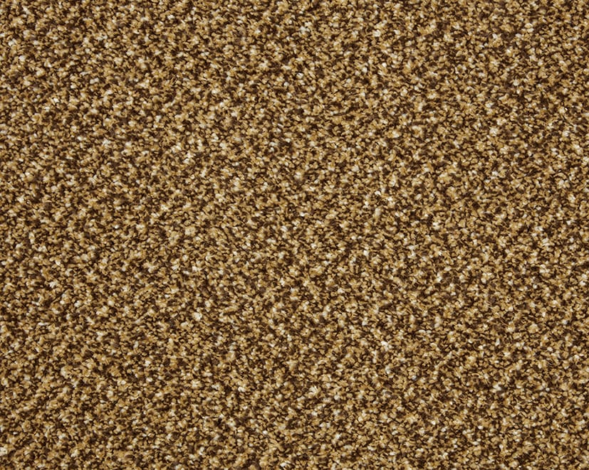 Butterscotch swatch