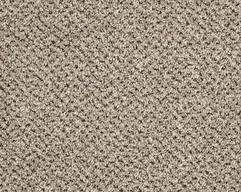 Moccasin swatch
