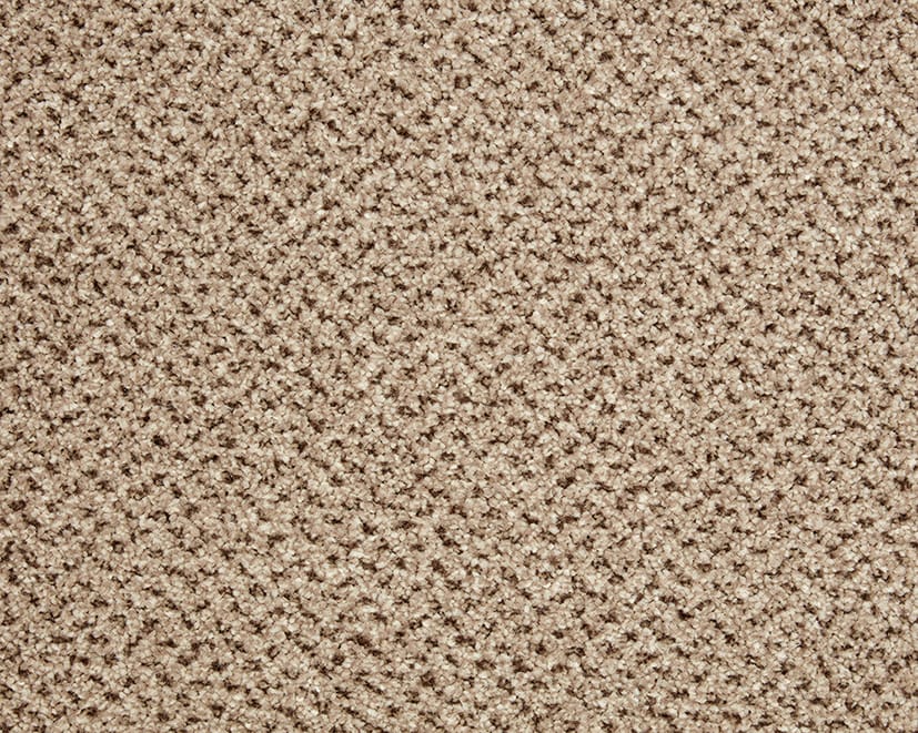 Westwood Beige swatch