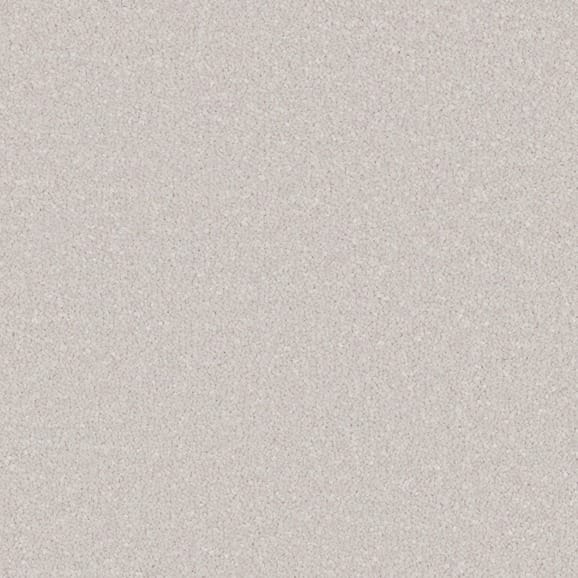 Alloy Grey swatch
