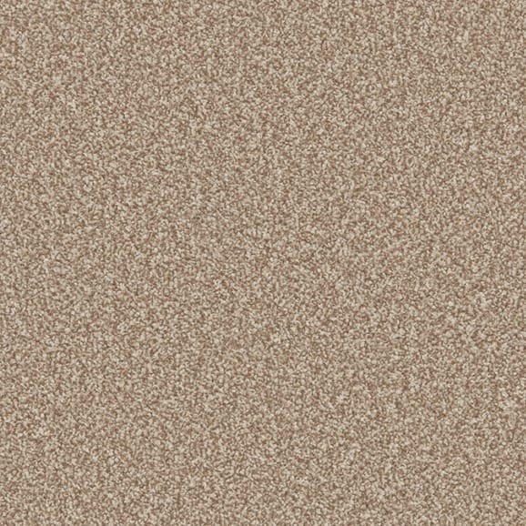 Beaver swatch