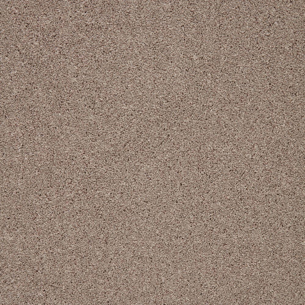 Trinity Biscuit swatch