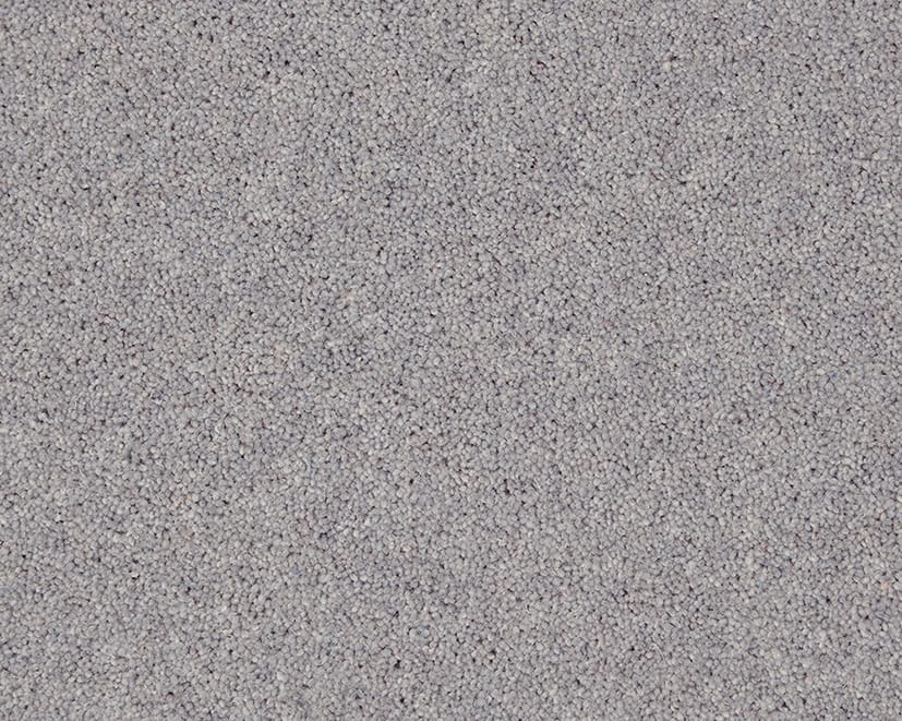 Twist Dove Grey swatch