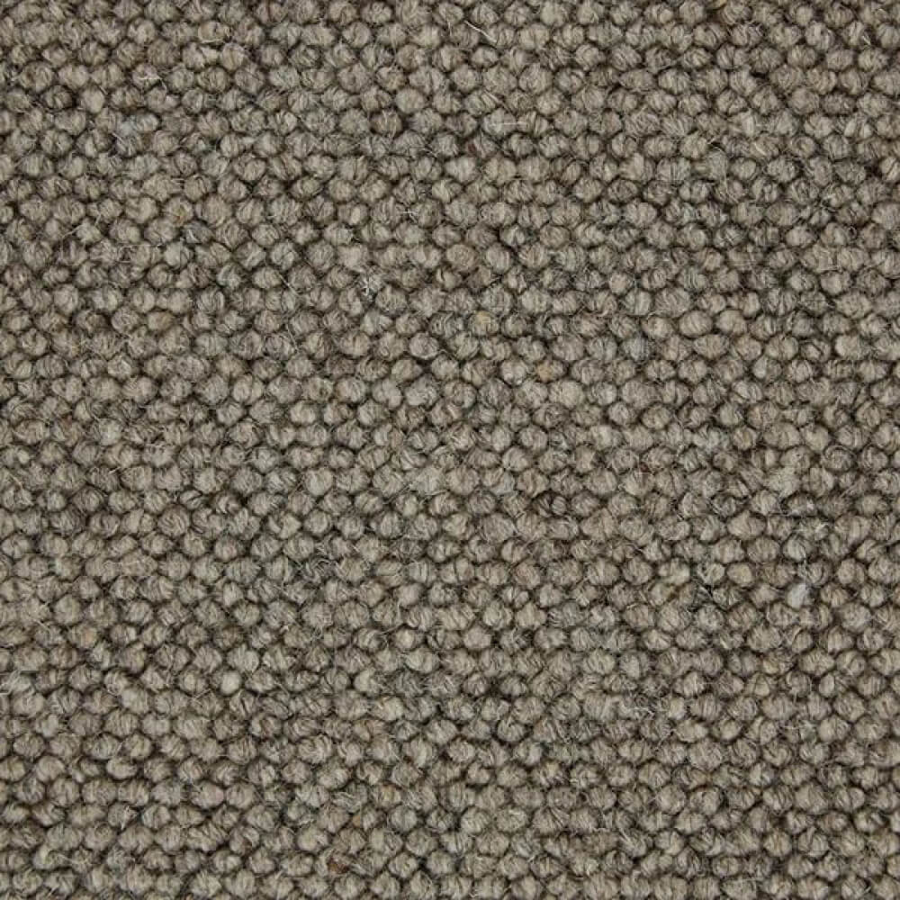 Schnauzer swatch