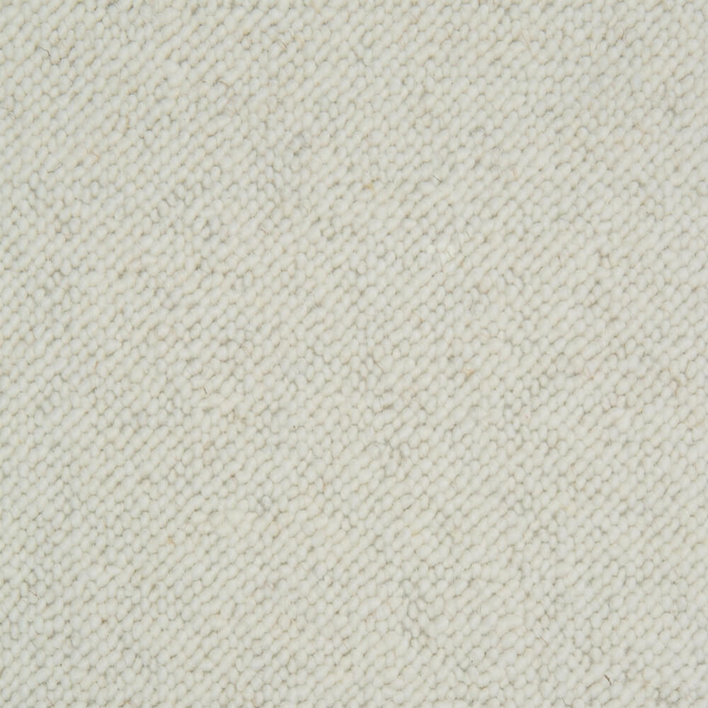 Arctic White swatch