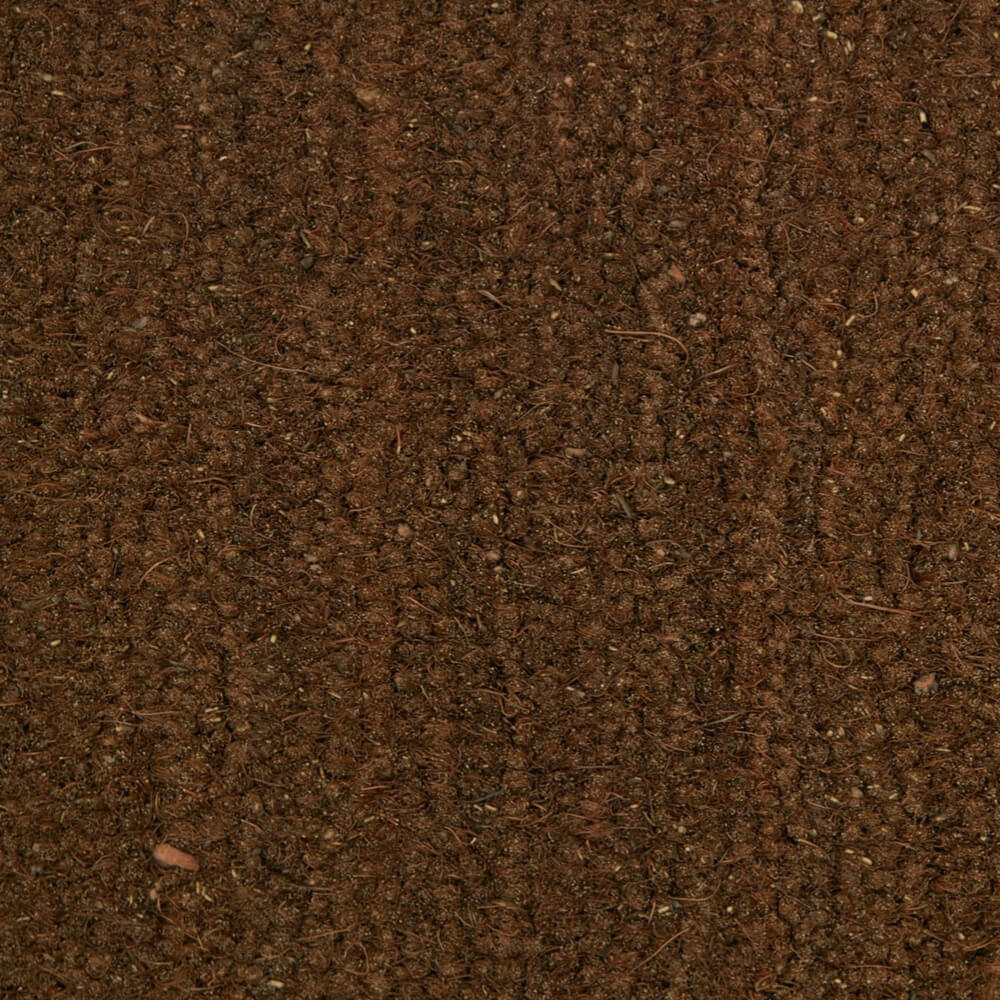 Light Brown swatch