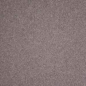 Home Counties Plains Cairn Grey