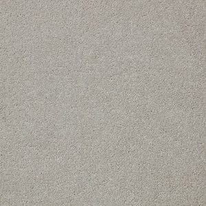 Primo Plus Alloy Grey