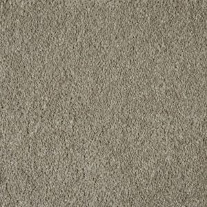 Soft Focus Aniseed