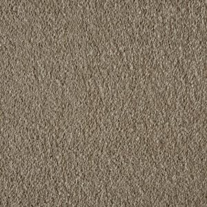 Soft Focus Hickory
